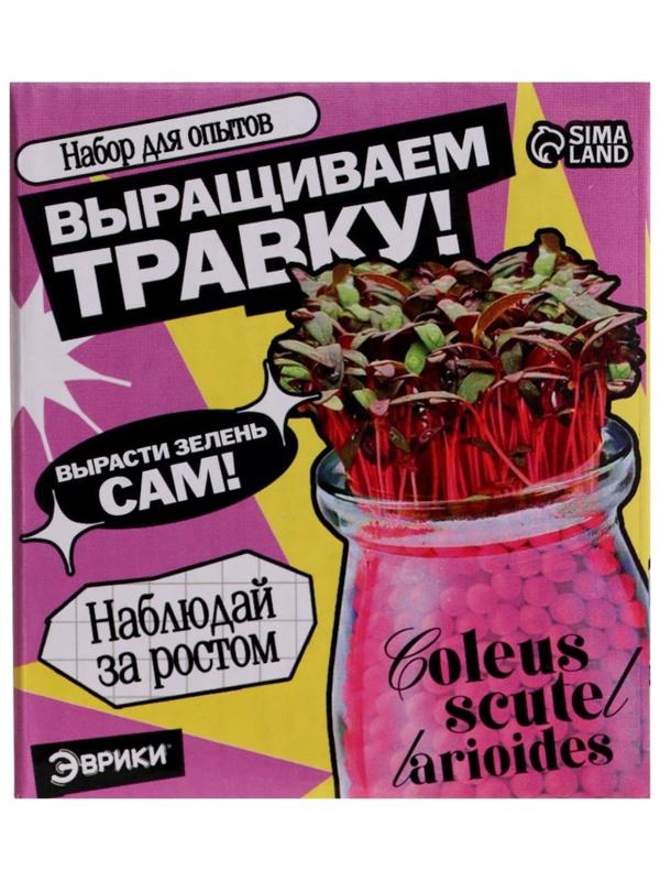 Набор для опытов «Выращиваем травку», своими руками, розовый