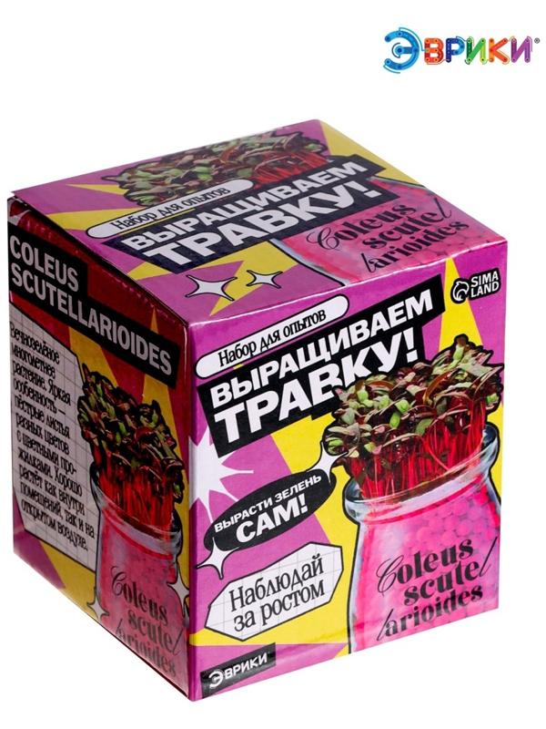 Набор для опытов «Выращиваем травку», своими руками, розовый