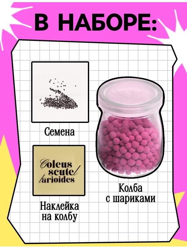 Набор для опытов «Выращиваем травку», своими руками, розовый