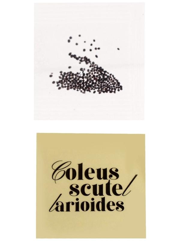 Набор для опытов «Выращиваем травку», своими руками, розовый