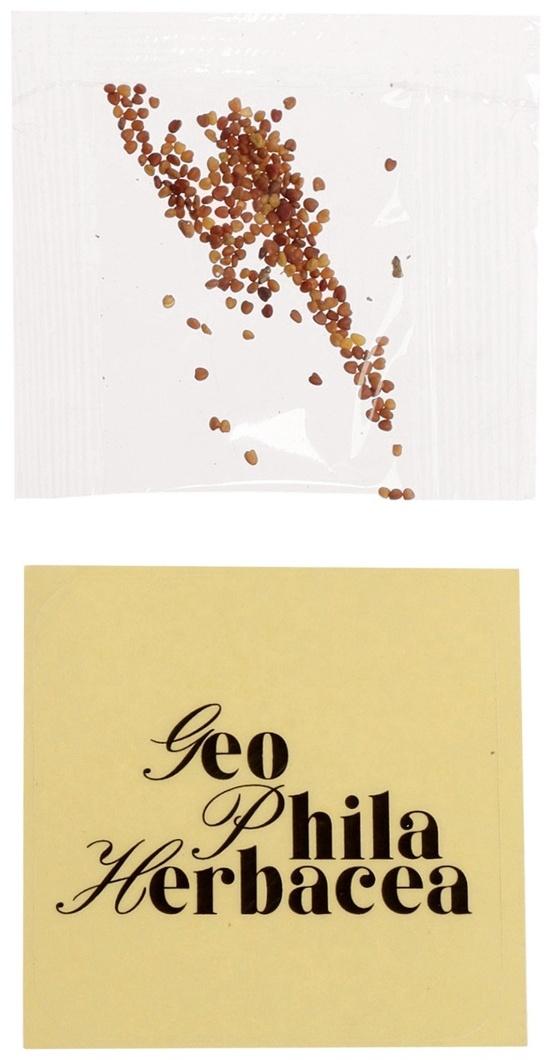 Набор для опытов «Выращиваем травку», своими руками, зеленый