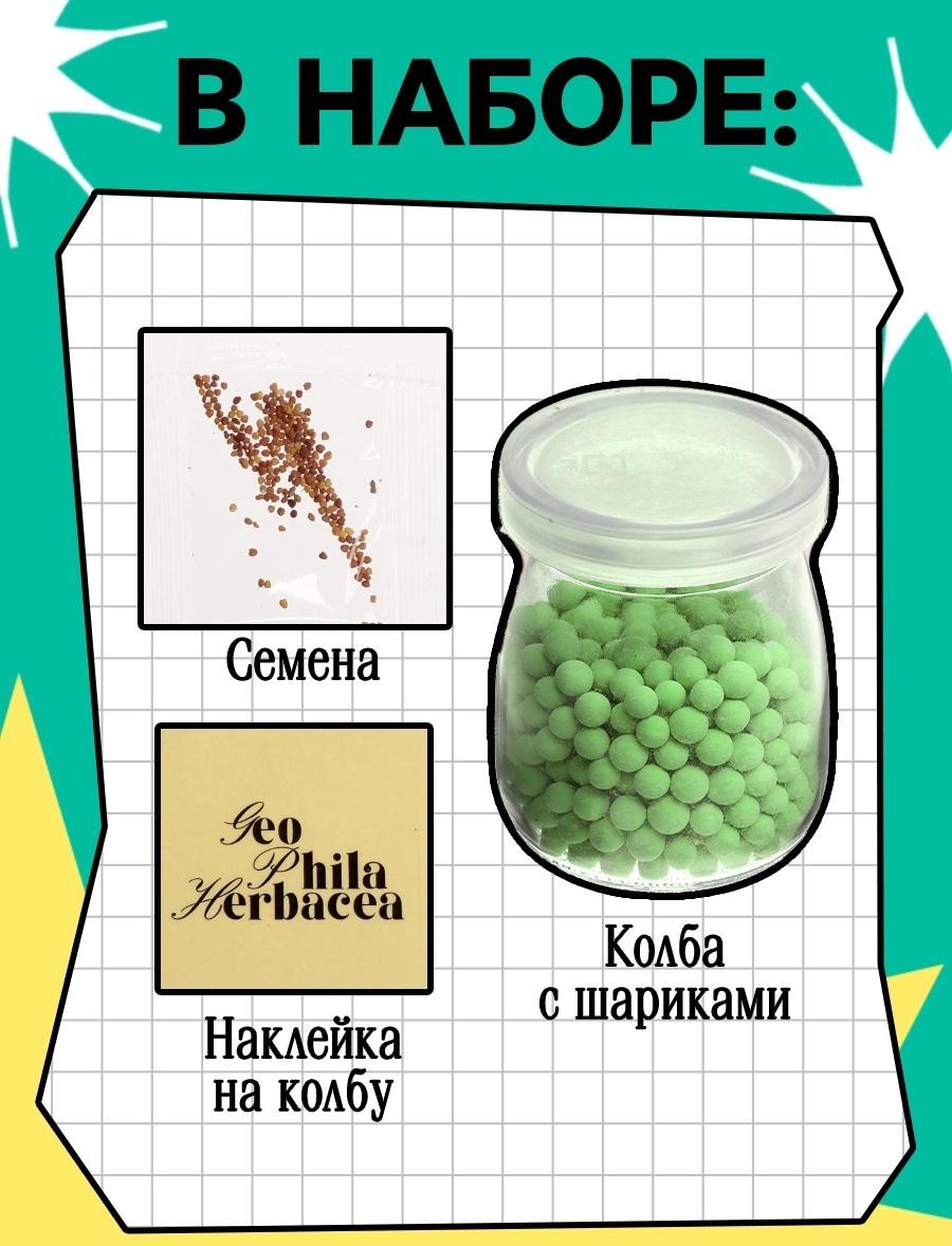 Набор для опытов «Выращиваем травку», своими руками, зеленый