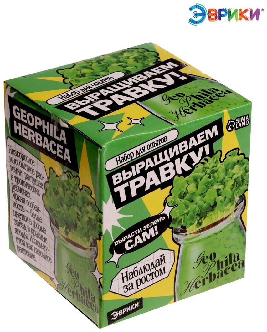 Набор для опытов «Выращиваем травку», своими руками, зеленый