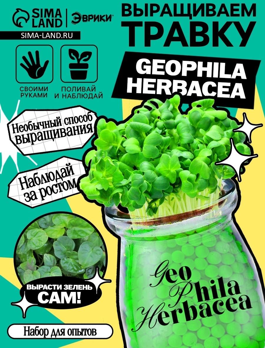 Набор для опытов «Выращиваем травку», своими руками, зеленый