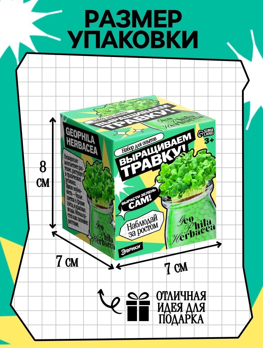 Набор для опытов «Выращиваем травку», своими руками, зеленый