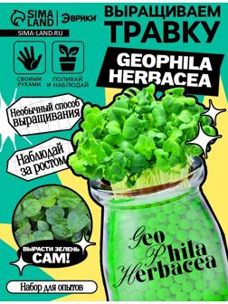 Набор для опытов «Выращиваем травку», своими руками, зеленый