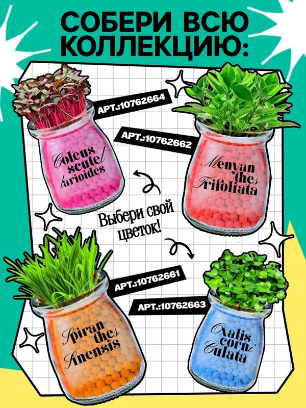 Набор для опытов «Выращиваем травку», своими руками, зеленый