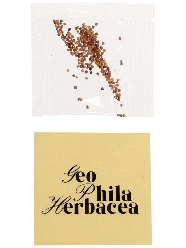 Набор для опытов «Выращиваем травку», своими руками, зеленый