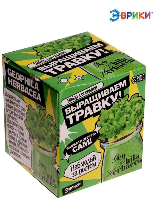 Набор для опытов «Выращиваем травку», своими руками, зеленый