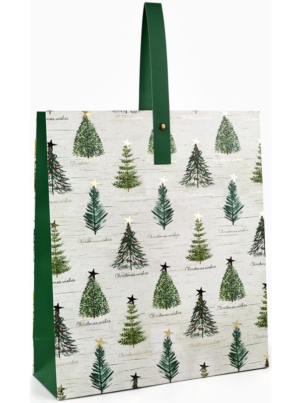 Пакет подарочный новогодний ламинированный «Новогодняя звезда», M 30 х 26 х 9 см