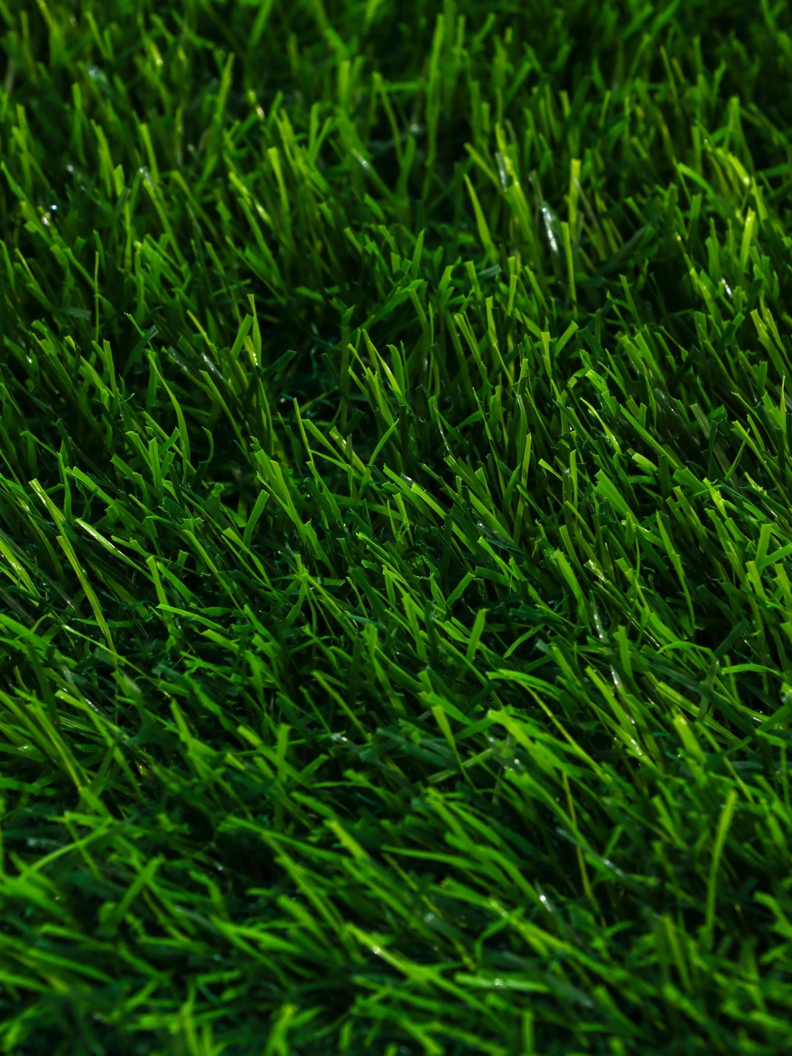 Газон искусственный, с проклейкой, высота 4см, 15иг, 2 х 25 м, зеленый, 