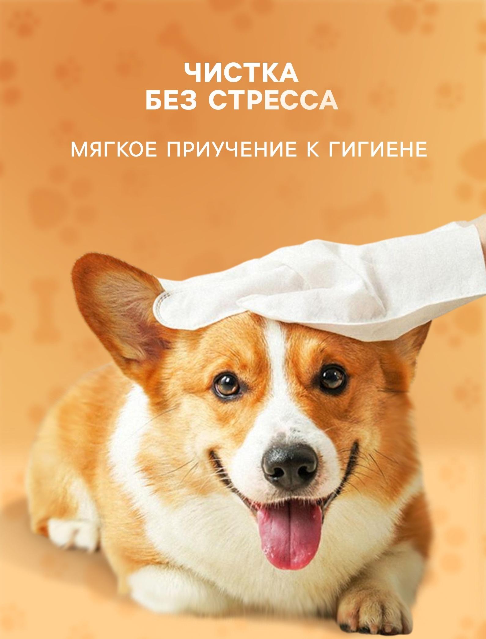 Влажные перчатки-салфетки для ежедневного ухода, 6 шт