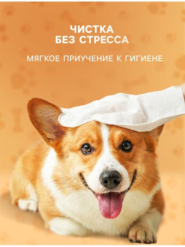 Влажные перчатки-салфетки для ежедневного ухода, 6 шт