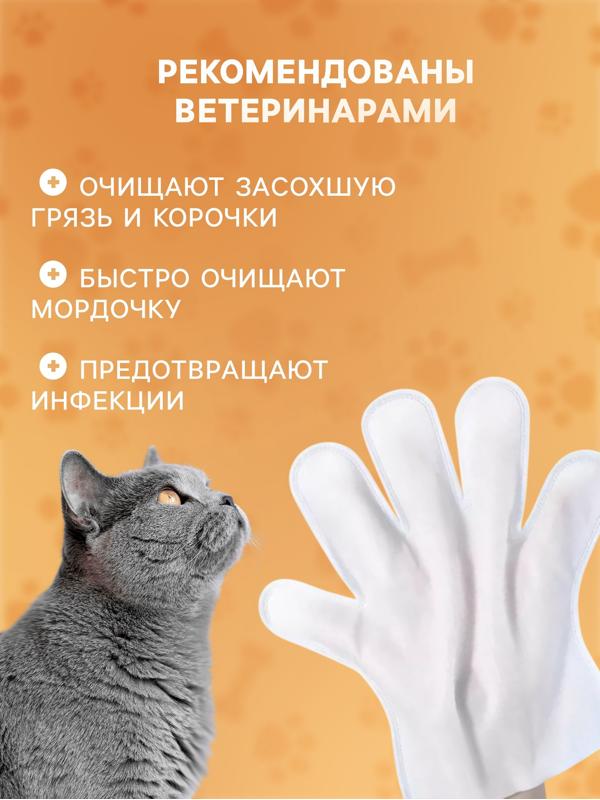 Влажные перчатки-салфетки для ежедневного ухода, 6 шт