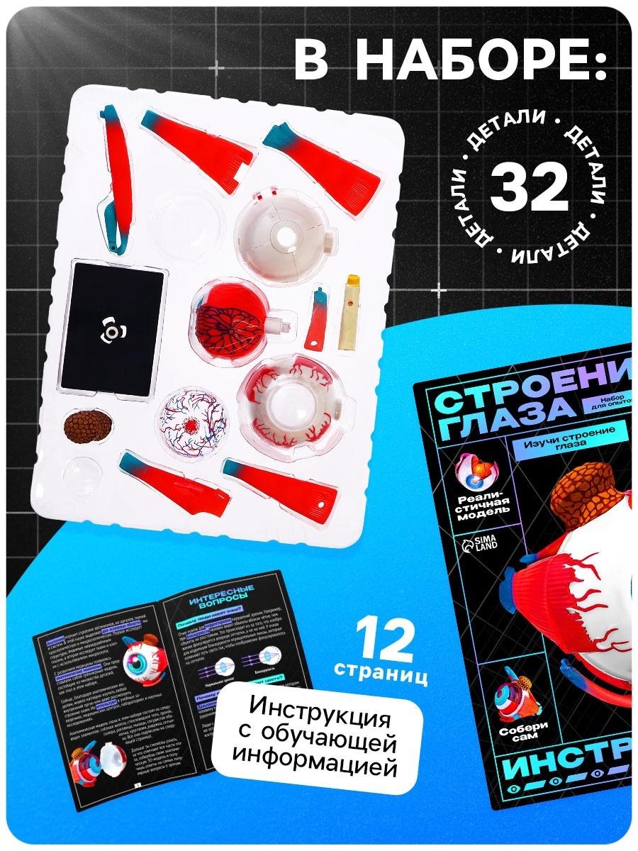 Набор для опытов «Строение глаза», анатомическая модель
