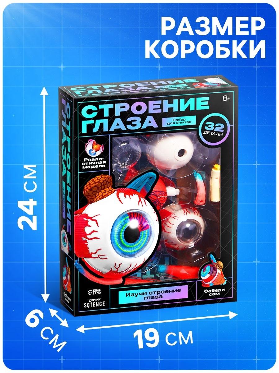 Набор для опытов «Строение глаза», анатомическая модель