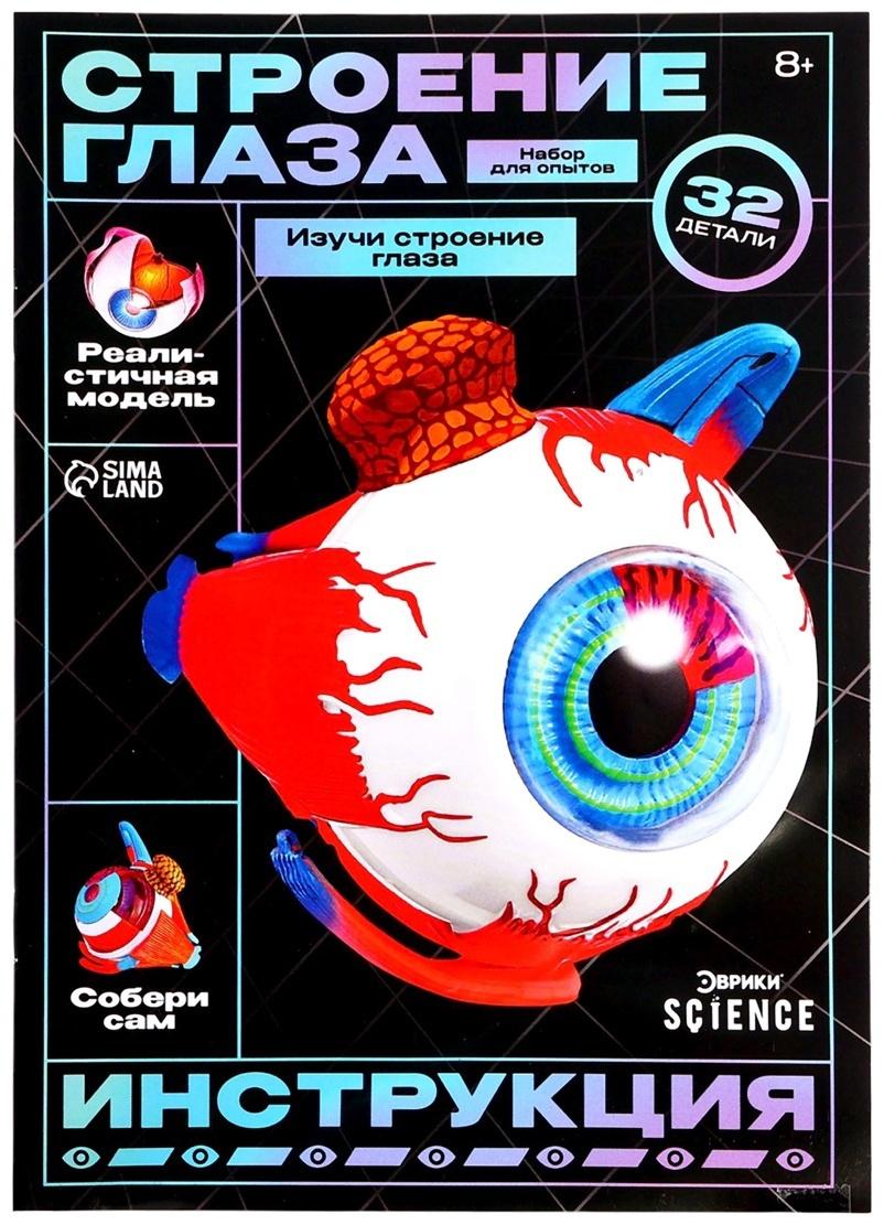 Набор для опытов «Строение глаза», анатомическая модель