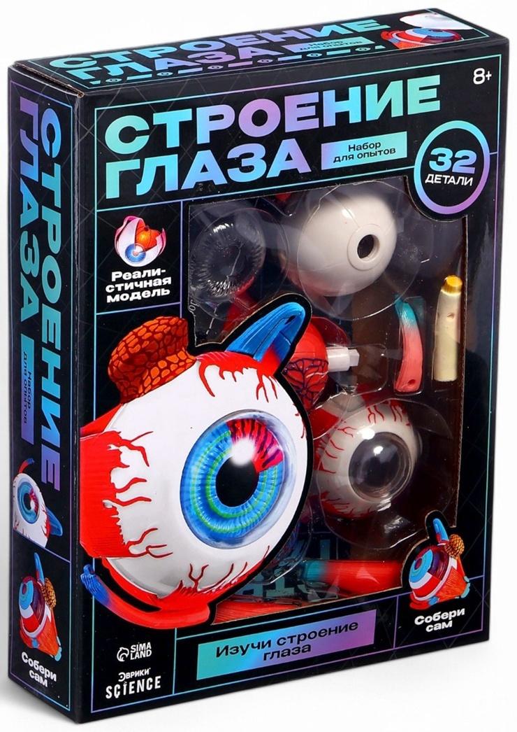 Набор для опытов «Строение глаза», анатомическая модель