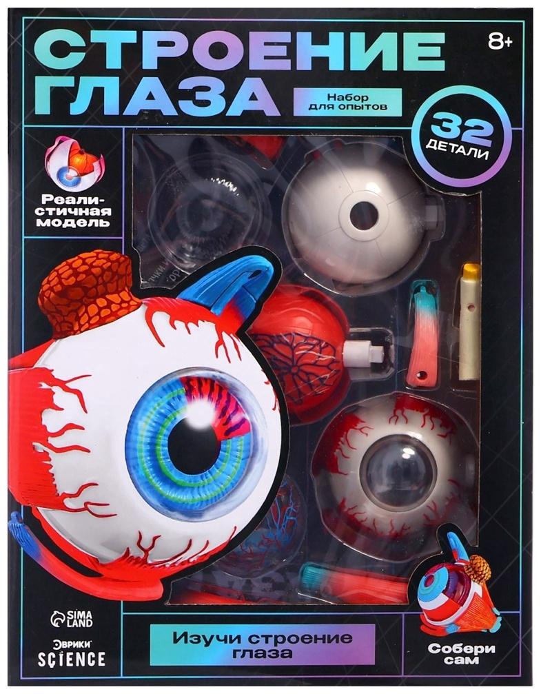 Набор для опытов «Строение глаза», анатомическая модель