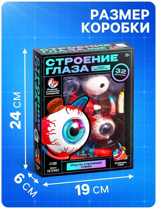 Набор для опытов «Строение глаза», анатомическая модель