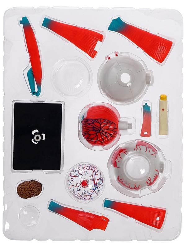 Набор для опытов «Строение глаза», анатомическая модель