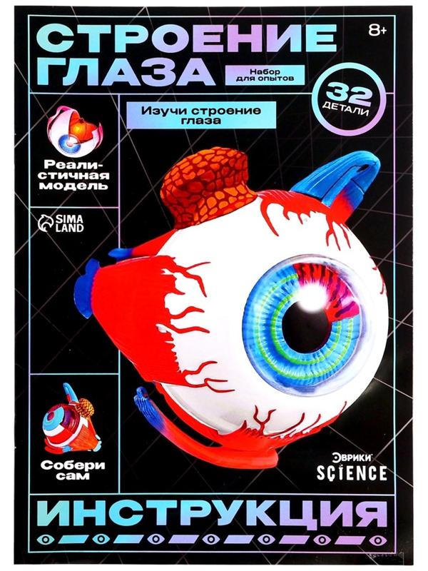 Набор для опытов «Строение глаза», анатомическая модель