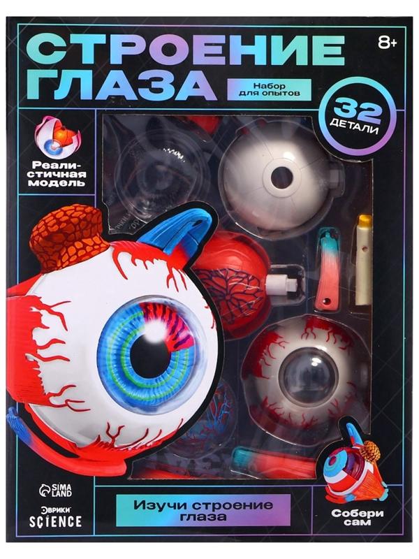 Набор для опытов «Строение глаза», анатомическая модель