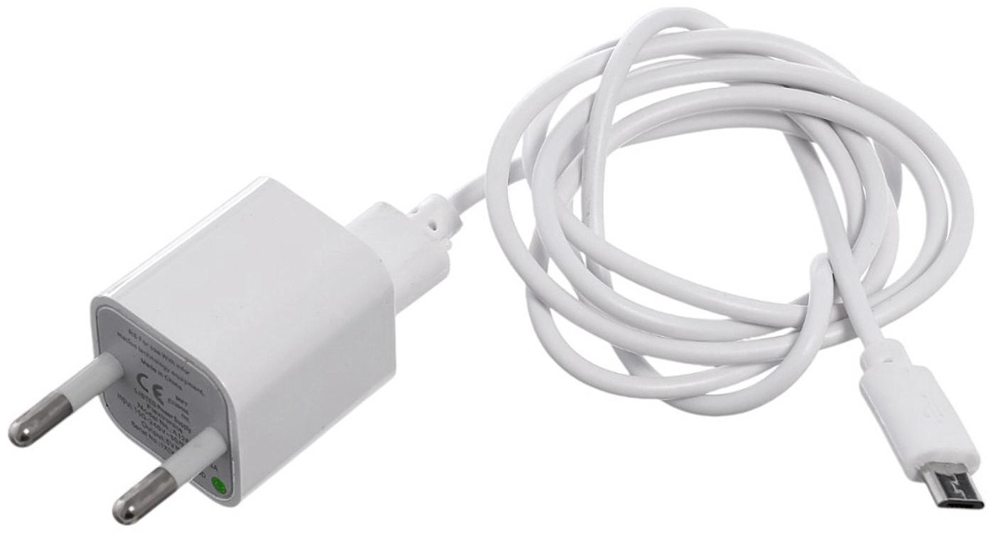 Лампа - ночник «Коала», световые эффекты, работает от сети, МИКС