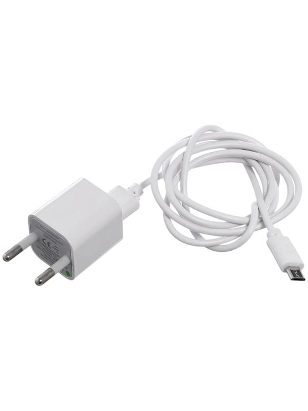 Лампа - ночник «Коала», световые эффекты, работает от сети, МИКС