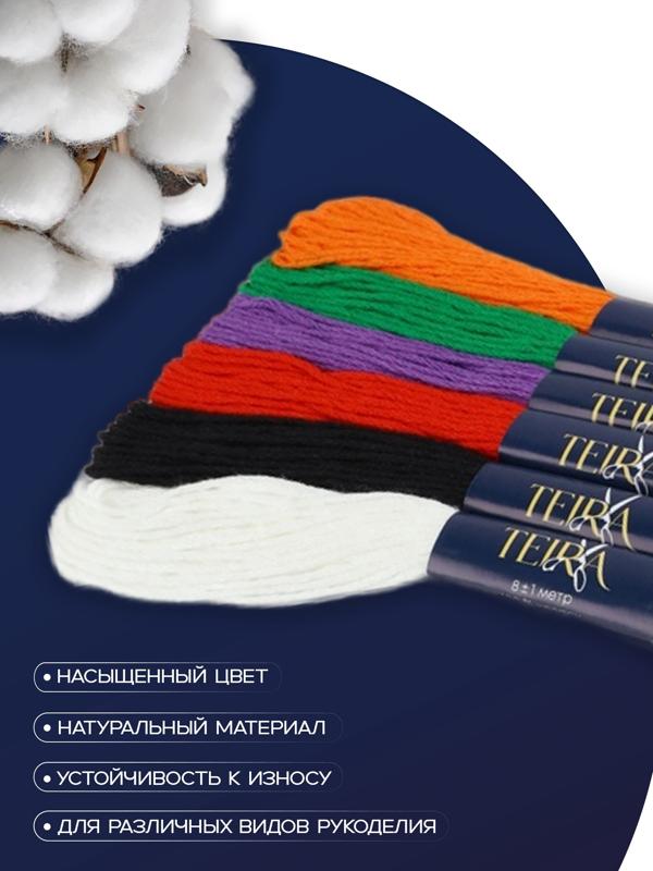 Нитки мулине, 8±1 м, набор 6 шт., хлопок, разноцветные