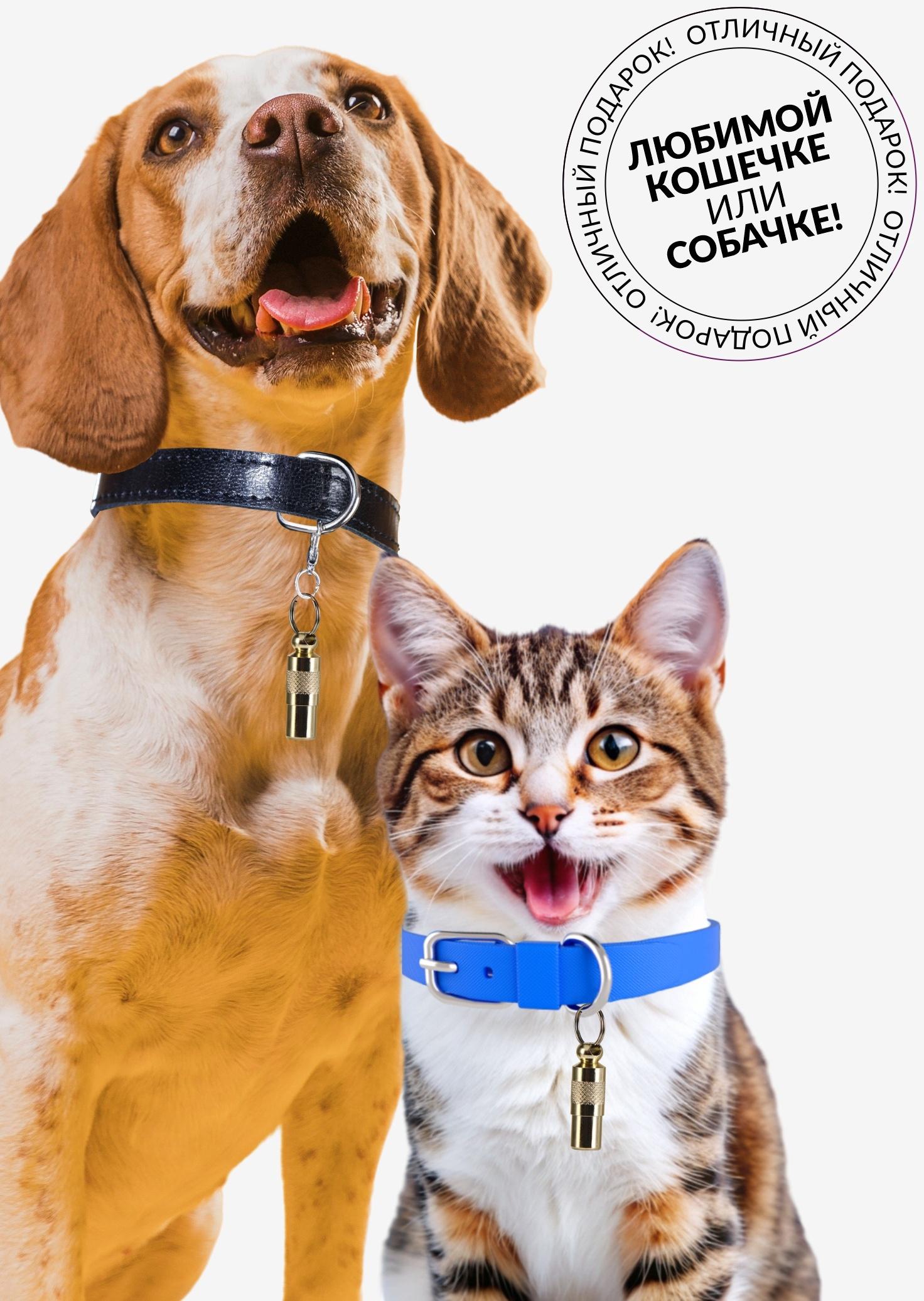 Адресник-капсула под записку, 0,9 х 2,75 см, золотой