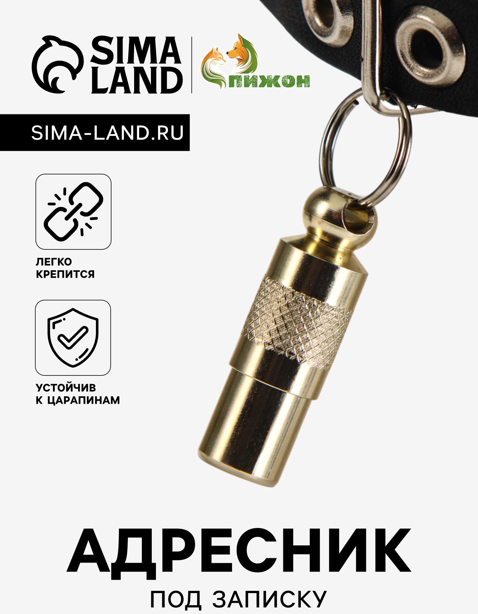 Адресник-капсула под записку, 0,9 х 2,75 см, золотой