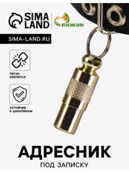 Адресник-капсула под записку, 0,9 х 2,75 см, золотой