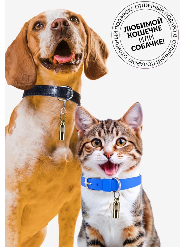 Адресник-капсула под записку, 0,9 х 2,75 см, золотой