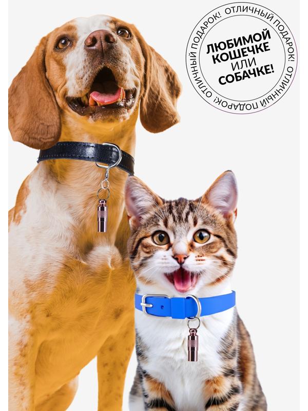 Адресник-капсула под записку, 0,9 х 2,75 см, розовый