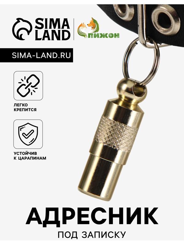 Адресник-капсула под записку, 0,9 х 2,75 см, фасовка 6 шт, микс