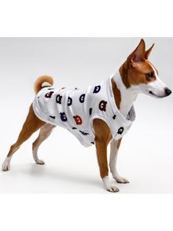 Футболка для животных 