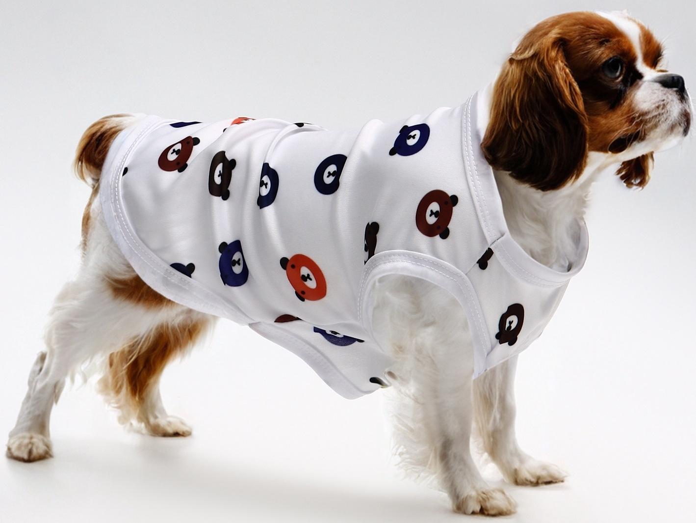 Футболка для животных 