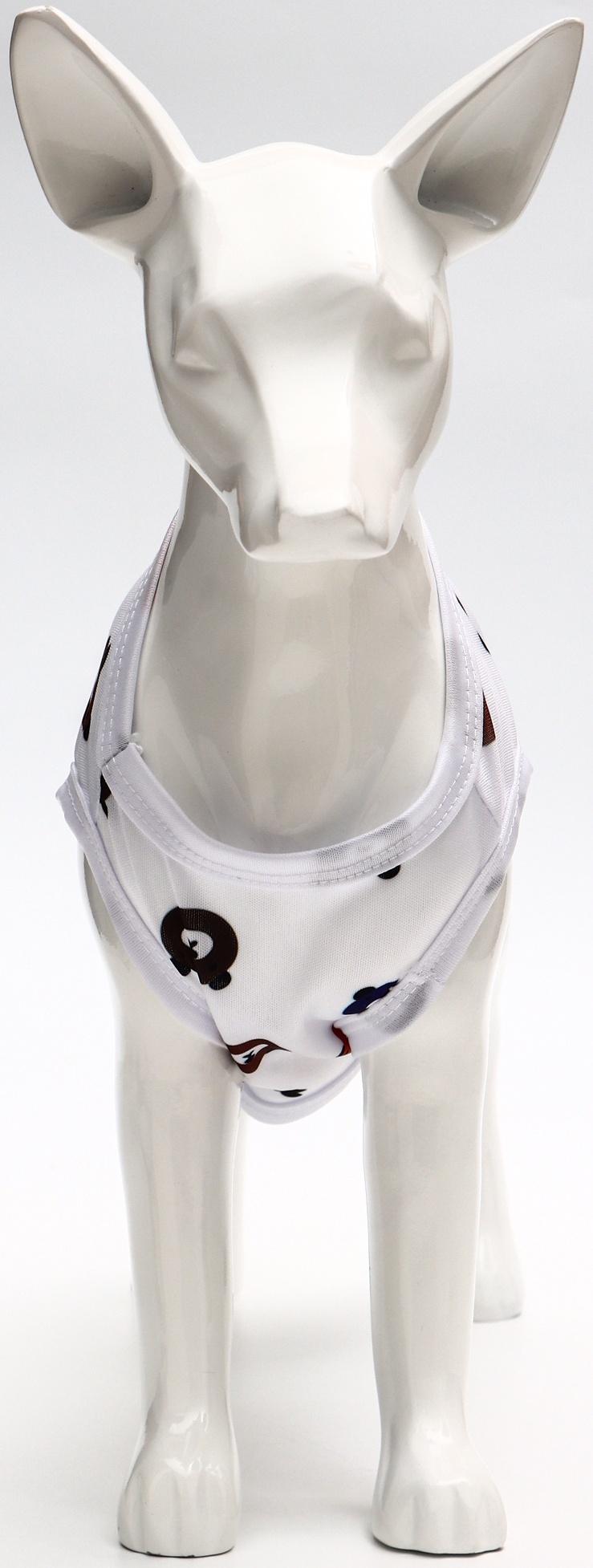 Футболка для животных 