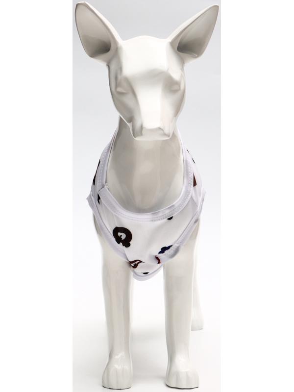 Футболка для животных 