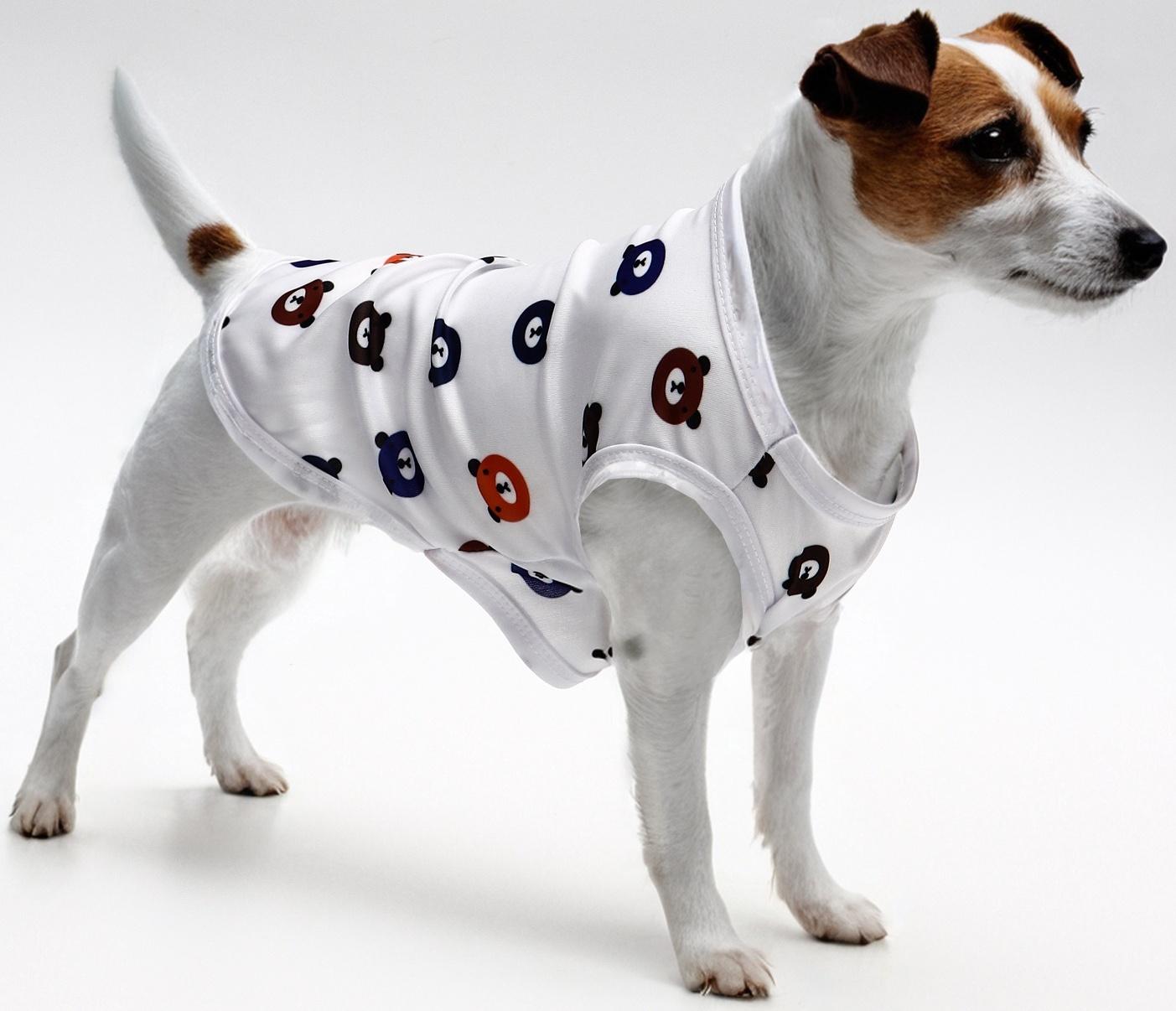 Футболка для животных 