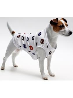 Футболка для животных 