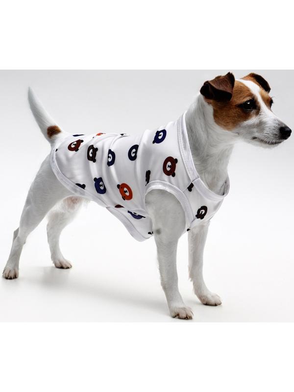 Футболка для животных 