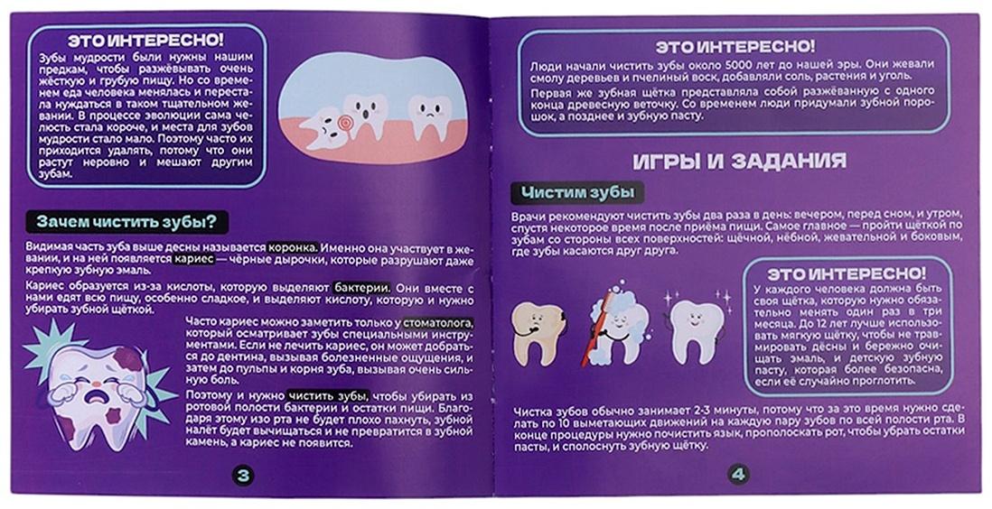 Набор для опытов «Анатомия», челюсть человека