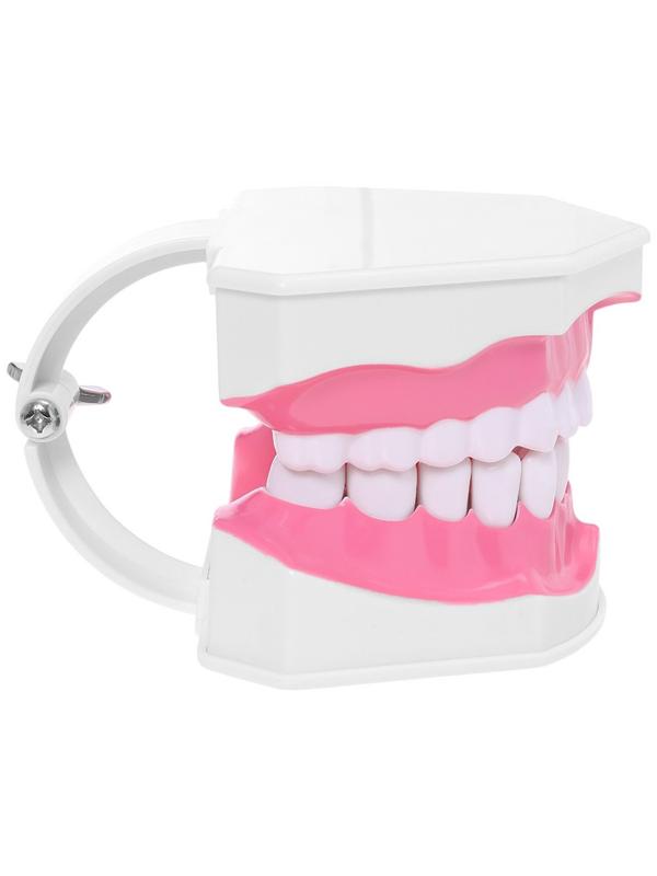 Набор для опытов «Анатомия», челюсть человека