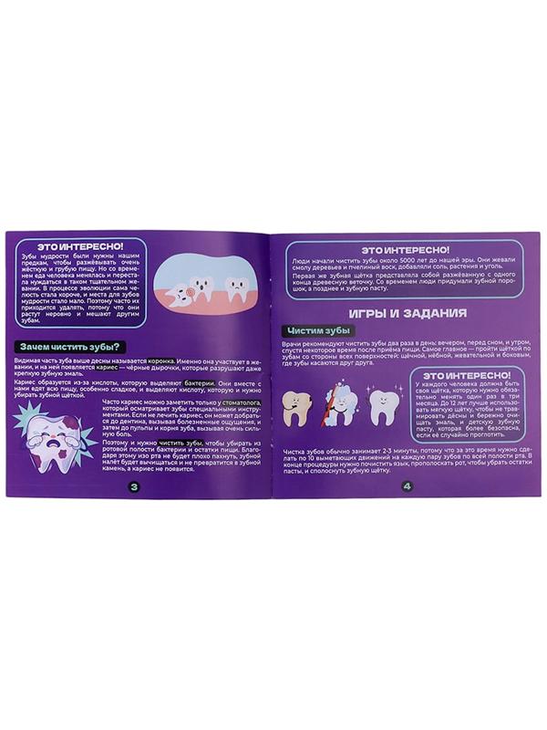 Набор для опытов «Анатомия», челюсть человека