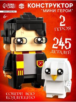 Конструктор «Мини Герои», Волшебник с питомцем, 245 деталей