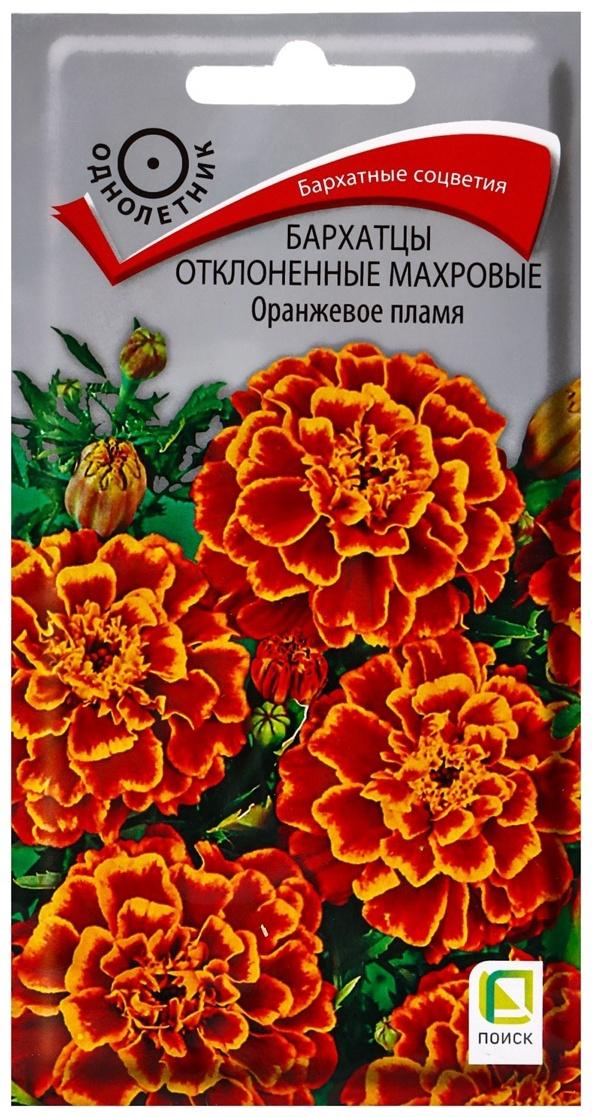 Семена цветов Бархатцы 