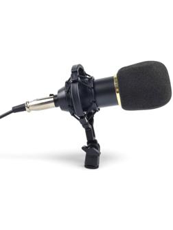 Микрофон конденсаторный Music Life золотой: кабель, ветрозащита, стойка