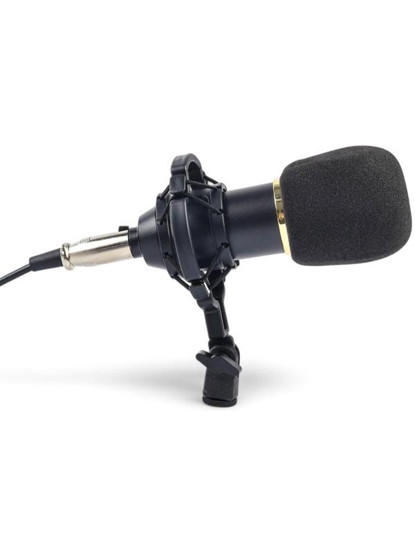 Микрофон конденсаторный Music Life золотой: кабель, ветрозащита, стойка